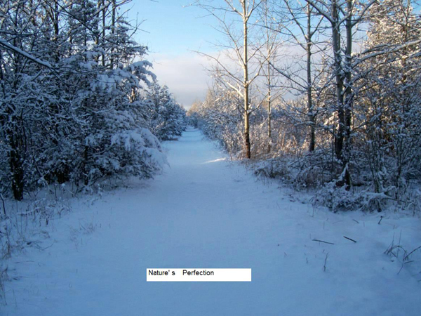 The Trail in Winter