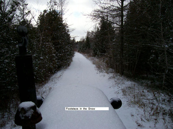 The Trail in Wintert