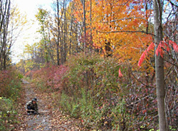 Lower Trent Trail